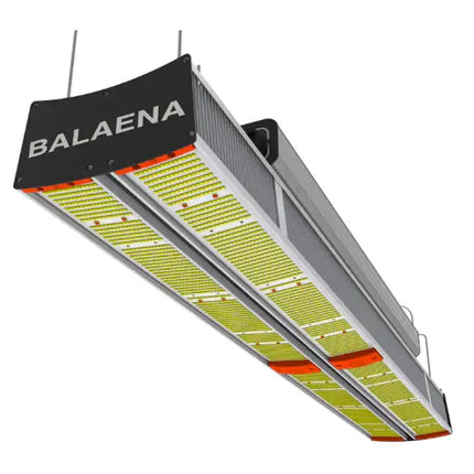 OCL Balaena 680 W LED