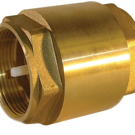 Brass check valve 2x 1" female thread