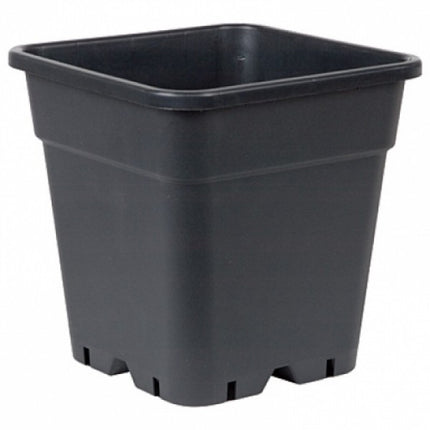Square plant container 11 ltr.