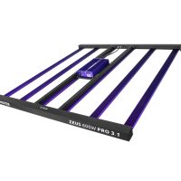 Home Main | ZEUS600WPRO31 01 min