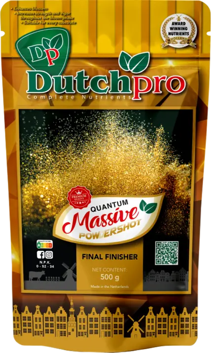Dutch Pro Quantum Massive Powder is een extreme afbloeistimulator voor binnenkwekers.