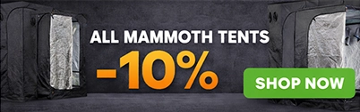 laagste prijzen voor mammoth tenten vind je bij greendiscounter.com